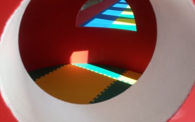 5. Educación democrática, participativa, para la cooperación y dialógica