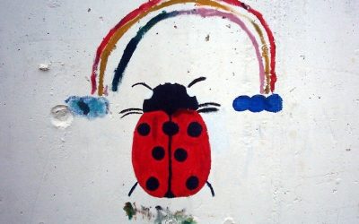 Memoria invernal del huerto escolar