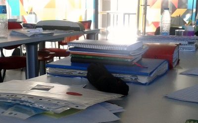 Escuela Ideo en formación permanente
