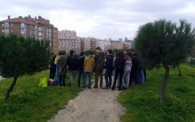 Seguimos sembrando, plantando… colaborando