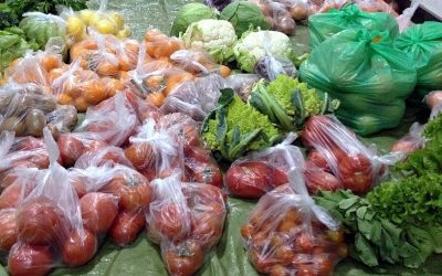 Creación del «Grupo de Trabajo sobre Alimentación Responsable»