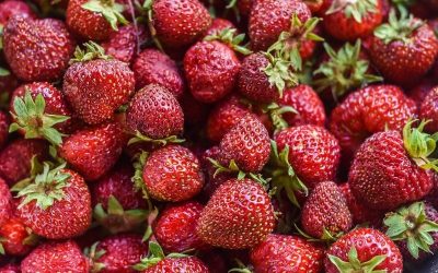 ¿Alimentos ecológicos?