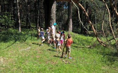Crear y consolidar una nueva cultura de la Tierra