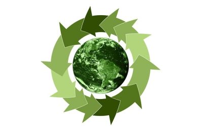El Plan Verde de Escuela Ideo con la Sostenibilidad Ecológica