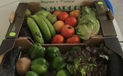 Juntos por una Alimentación Saludable