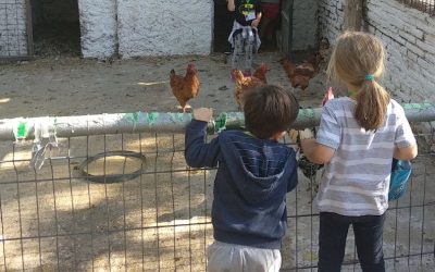 Primera excursión a la granja