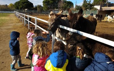 Visita a Burrolandia