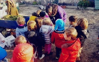 Descubrir, experimentar,… ¡de primera mano!