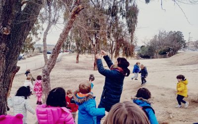 Los pájaros de nuestro entorno