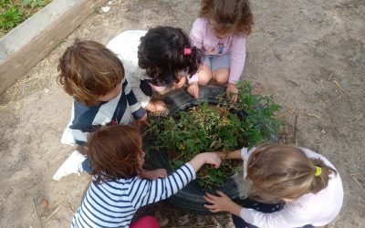 Actividades al aire libre en 4 años