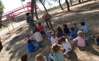 Comenzamos proyecto en 3 años