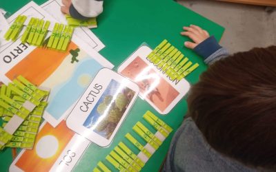 ¡Somos exploradores!