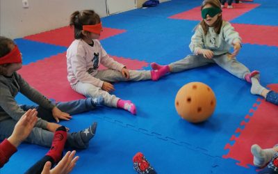Jornadas sobre diversidad en Educación Física