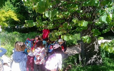 ¡Excursión al jardín botánico!