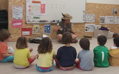 Aprendiendo sobre los insectos