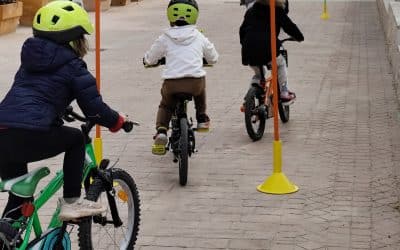 Nuestras queridas bicicletadas