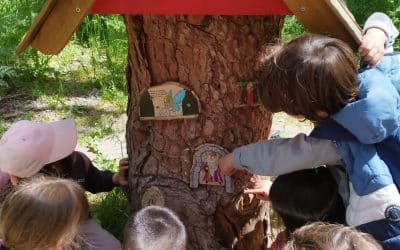 Investigando en la «Senda Mágica»