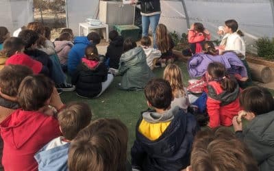 Descubriendo la asignatura de Lengua en Escuela Ideo