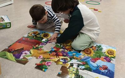 ¡Unidos por la curiosidad: 3, 4 y 5 años aprendiendo en equipo!