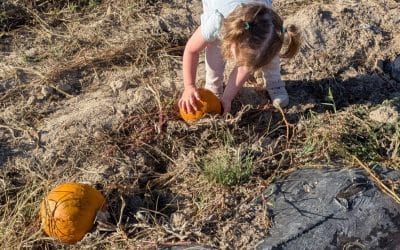 Una semana para preparar una aventura y un día para recoger calabazas